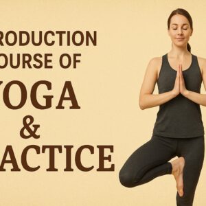 Introduction course of Yoga & Practice
